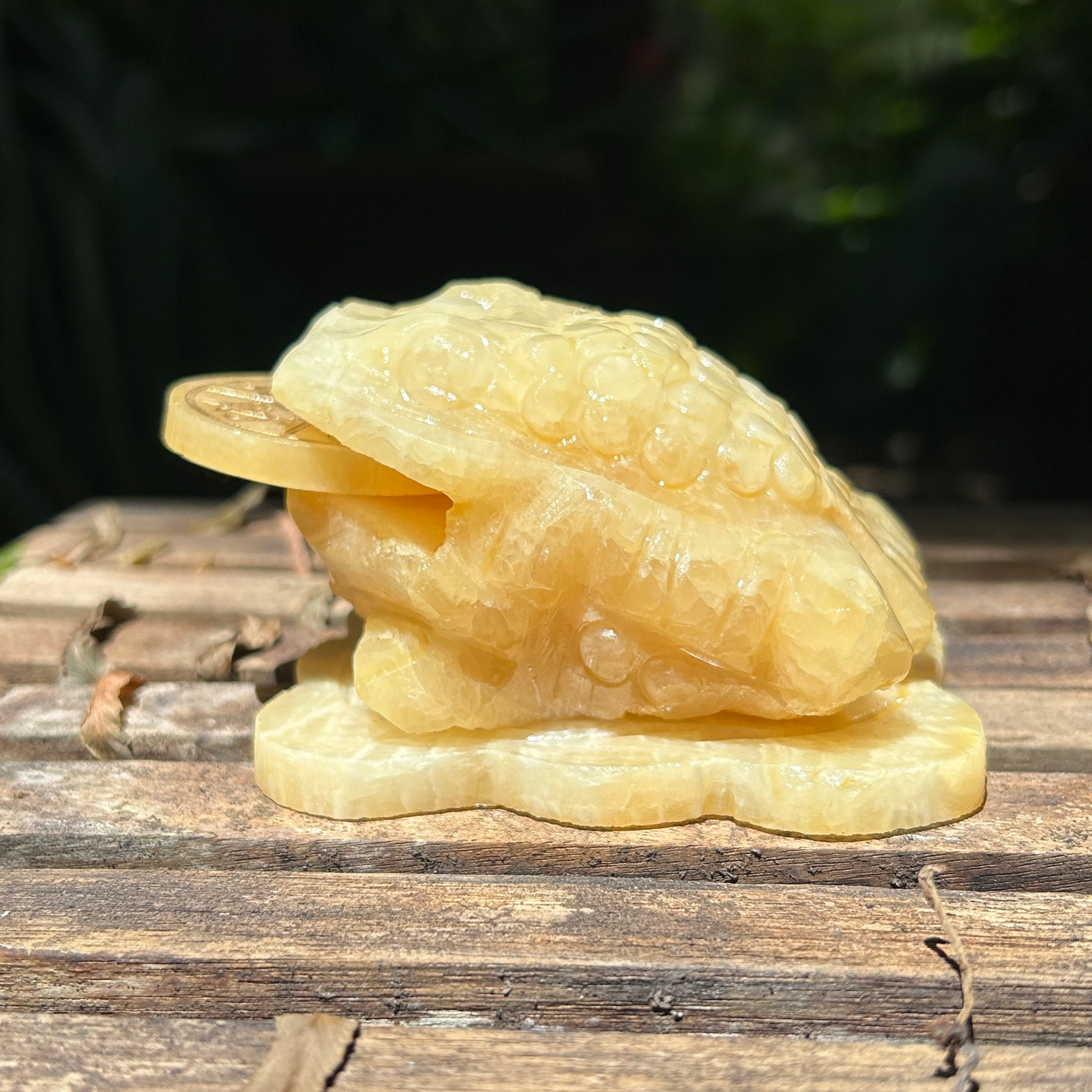 Calcite 'Money Toad' Carving