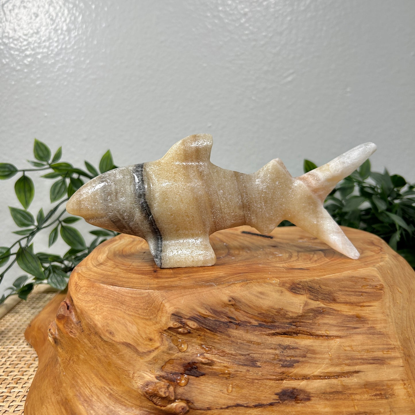 Onyx Shark Stone Carving from Mexico A