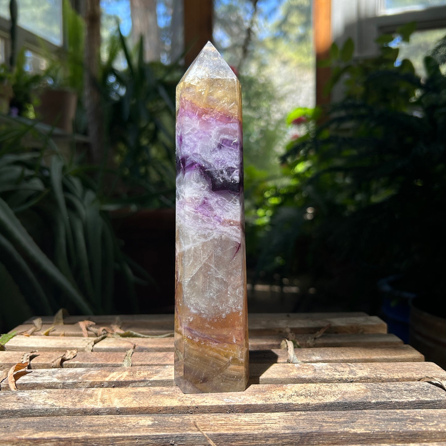 Fluorite, Purple and Yellow Tall Tower