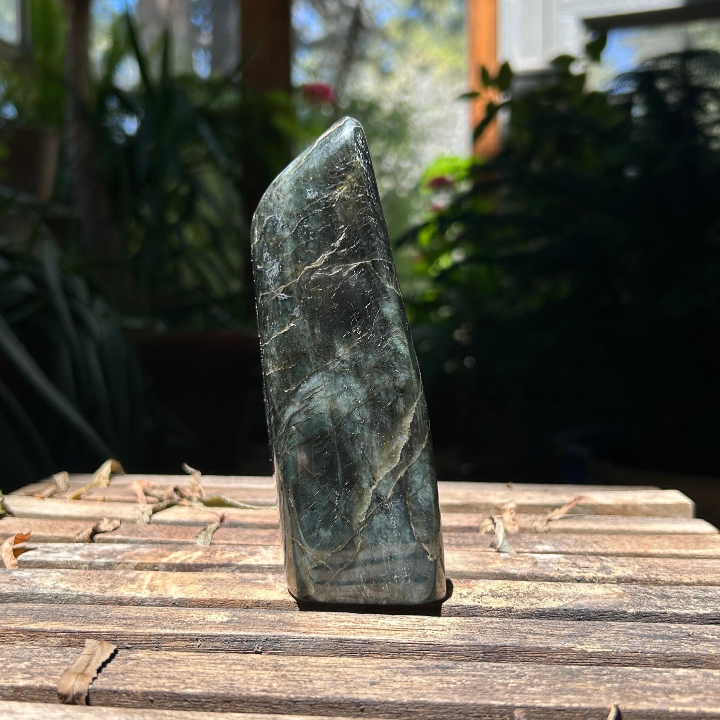 Labradorite Freeform (Strong flash!)