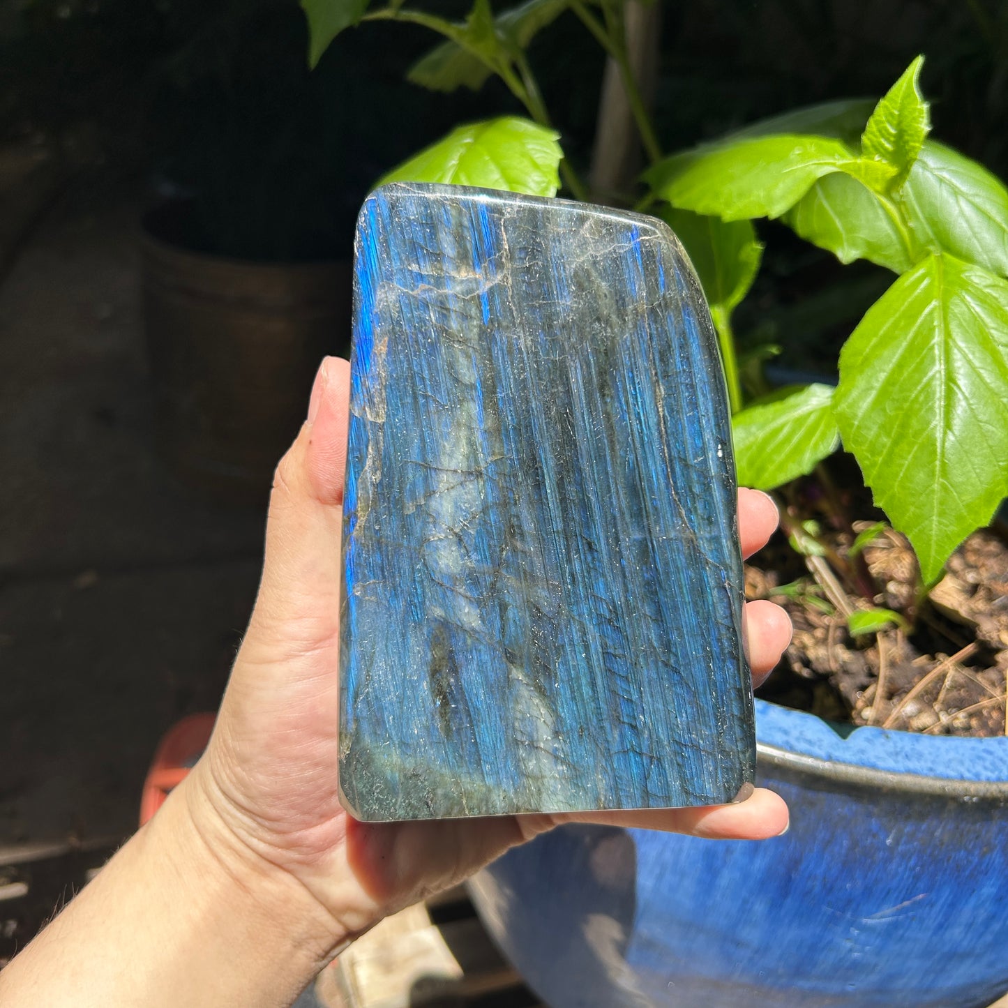 Labradorite Freeform (Strong flash!)