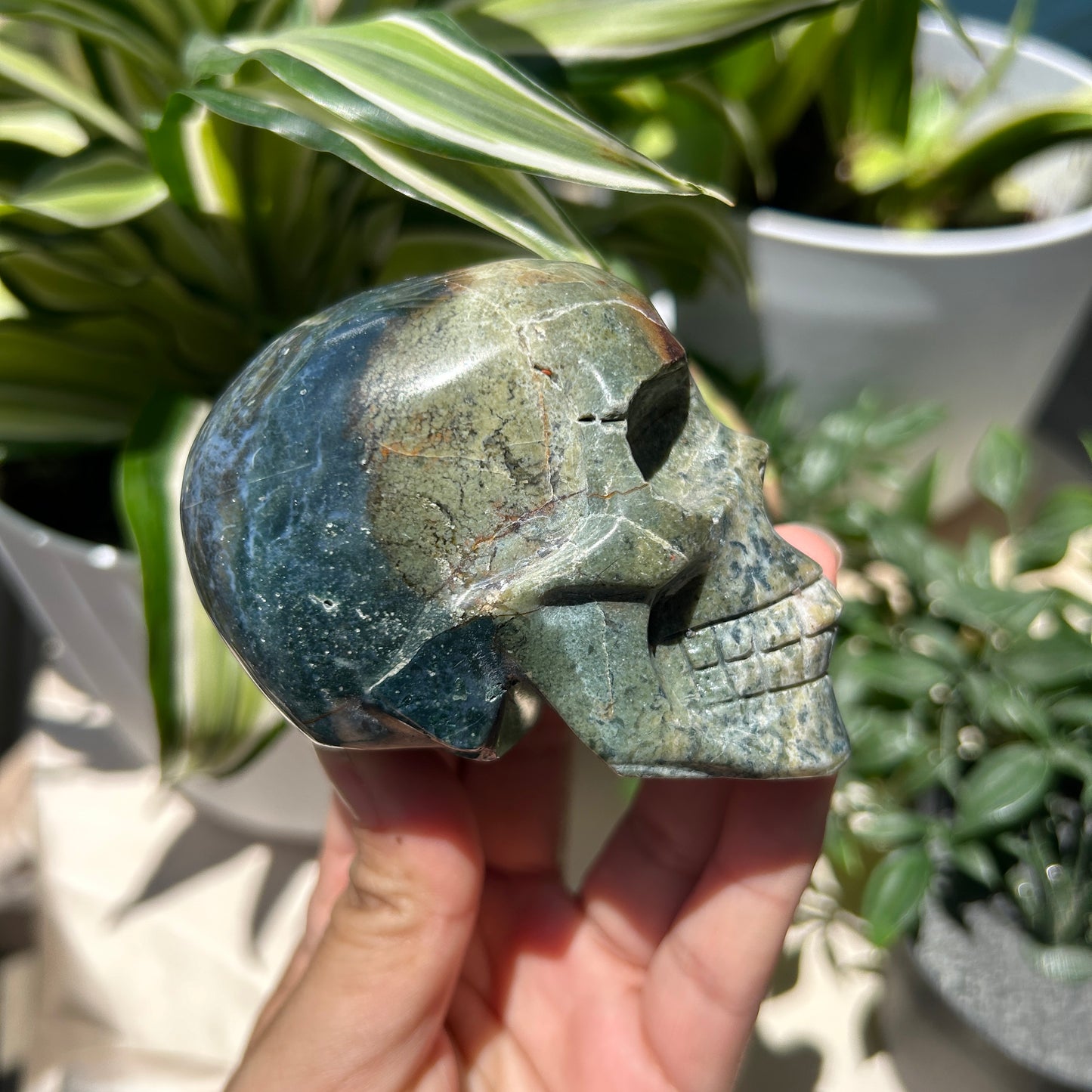 Agate, Moss Skull with Suture 3.5" Carving