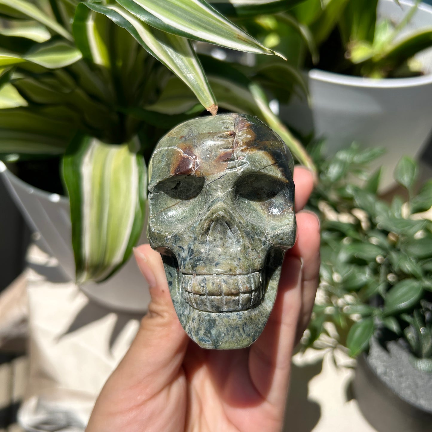 Agate, Moss Skull with Suture 3.5" Carving