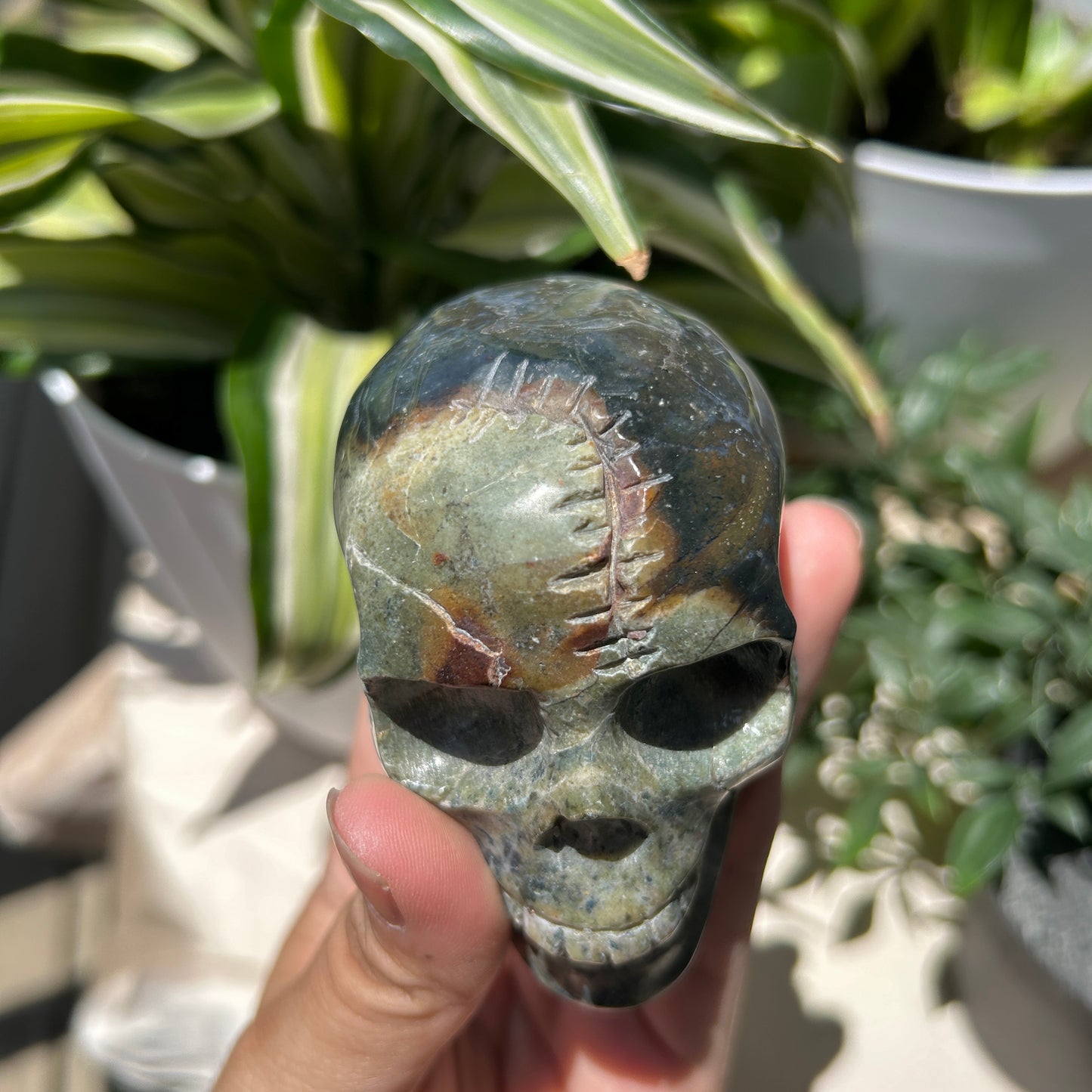 Agate, Moss Skull with Suture 3.5" Carving