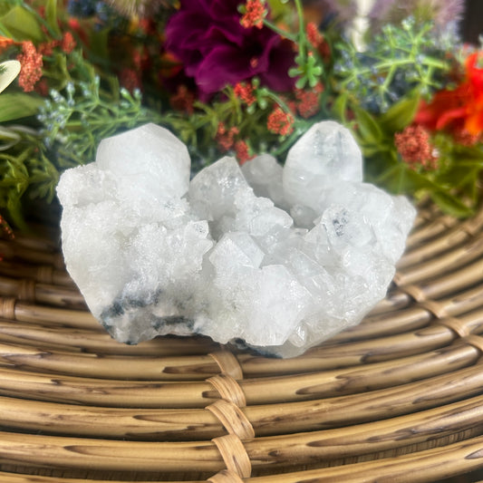 Natural Apophyllite Cluster