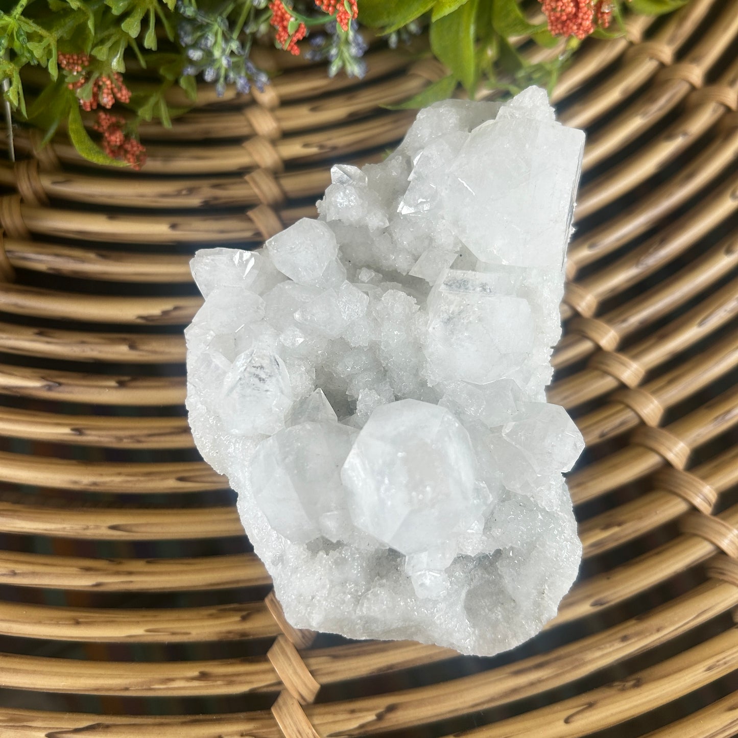 Natural Apophyllite Cluster