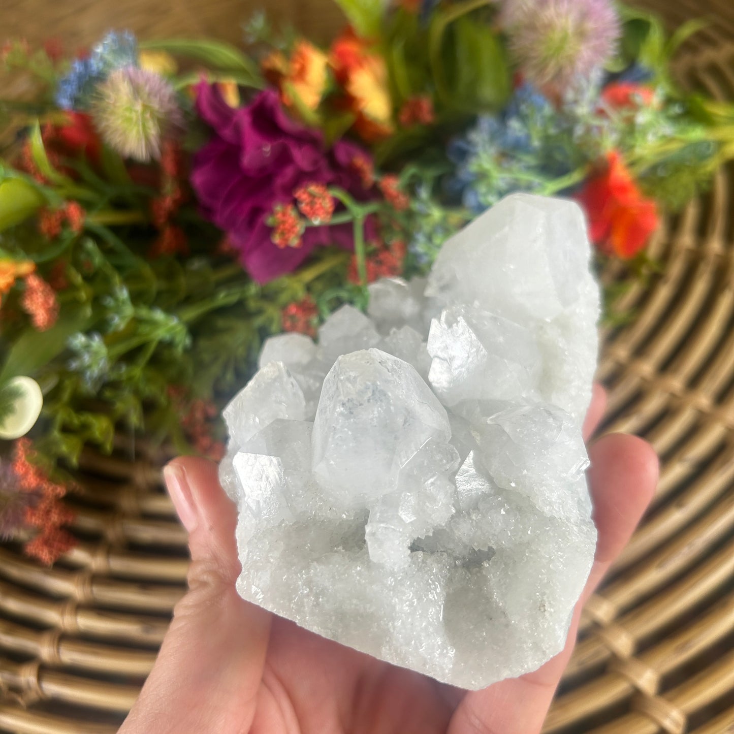 Natural Apophyllite Cluster