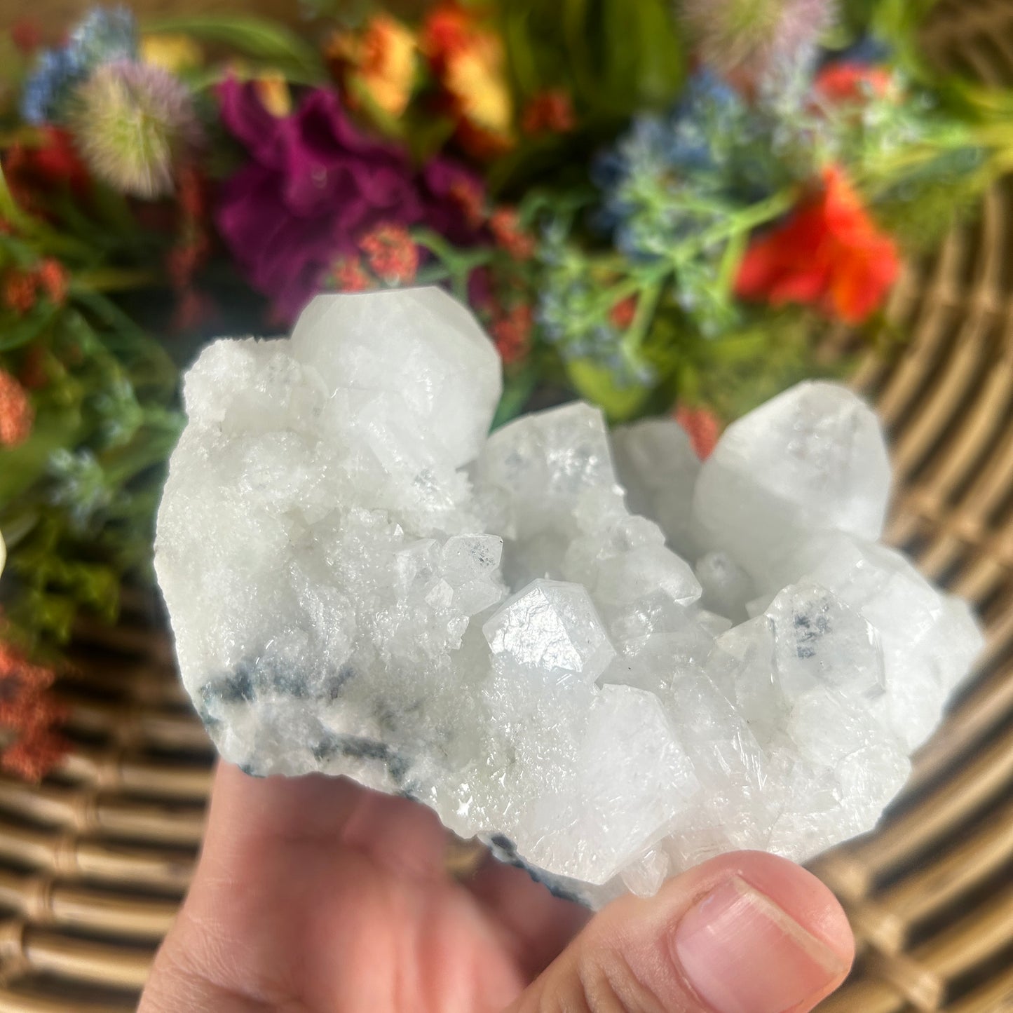 Natural Apophyllite Cluster