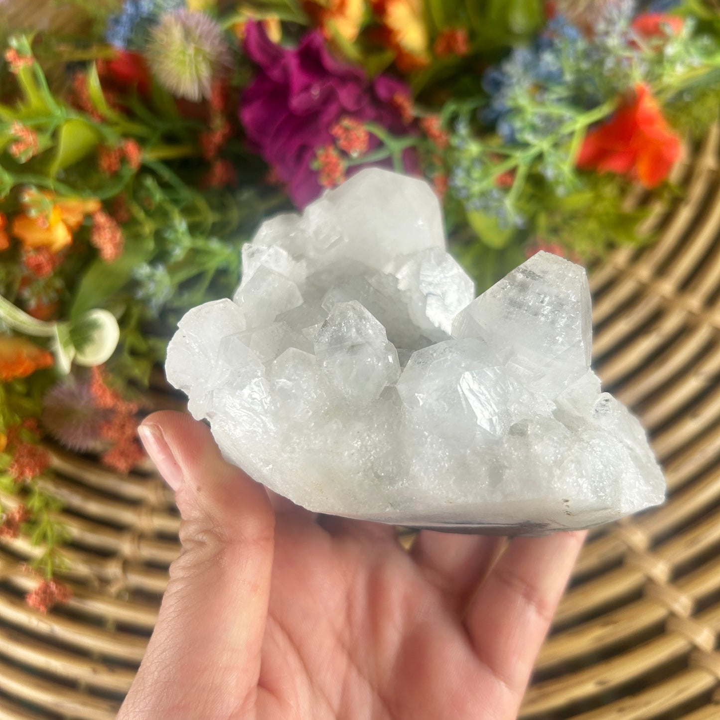 Natural Apophyllite Cluster