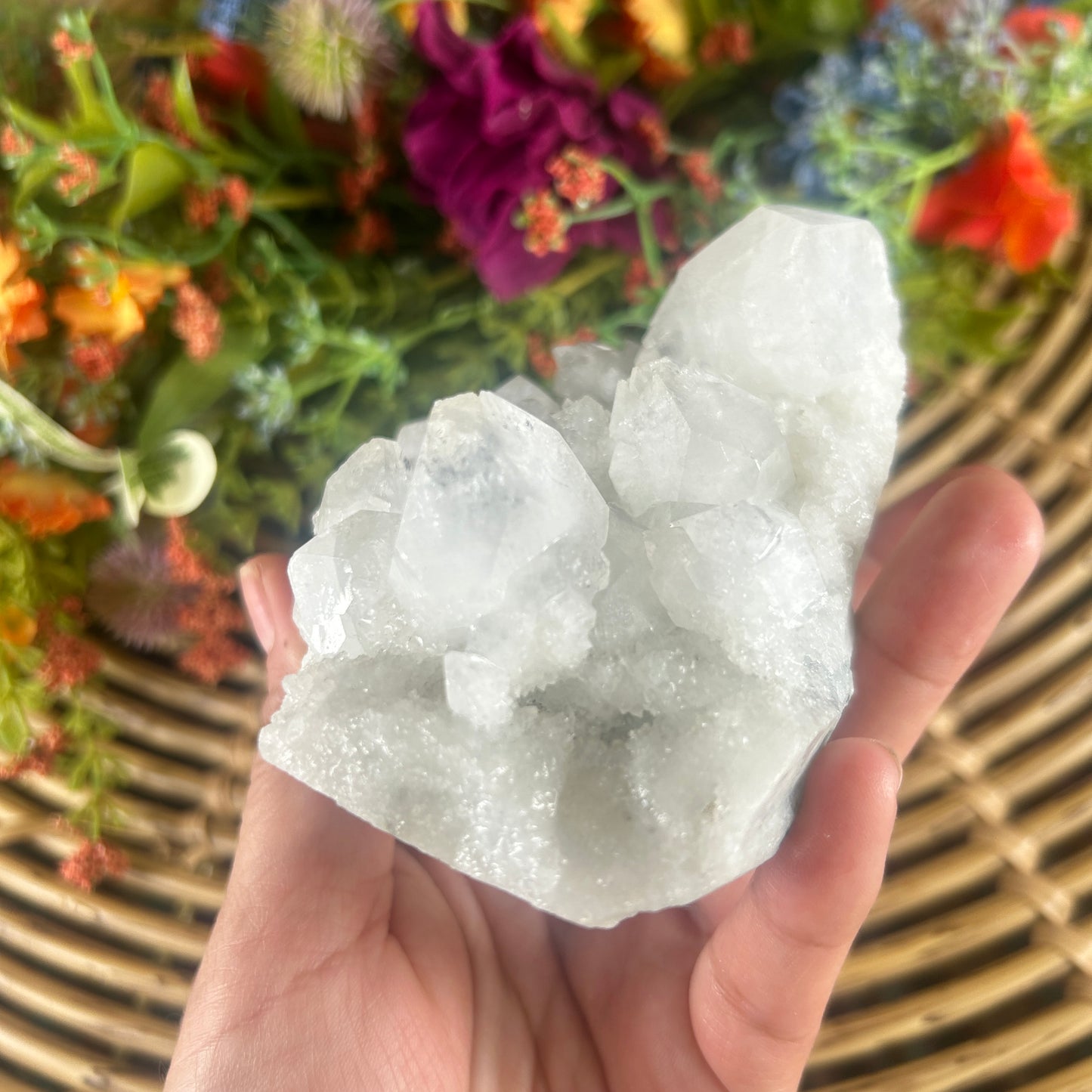 Natural Apophyllite Cluster