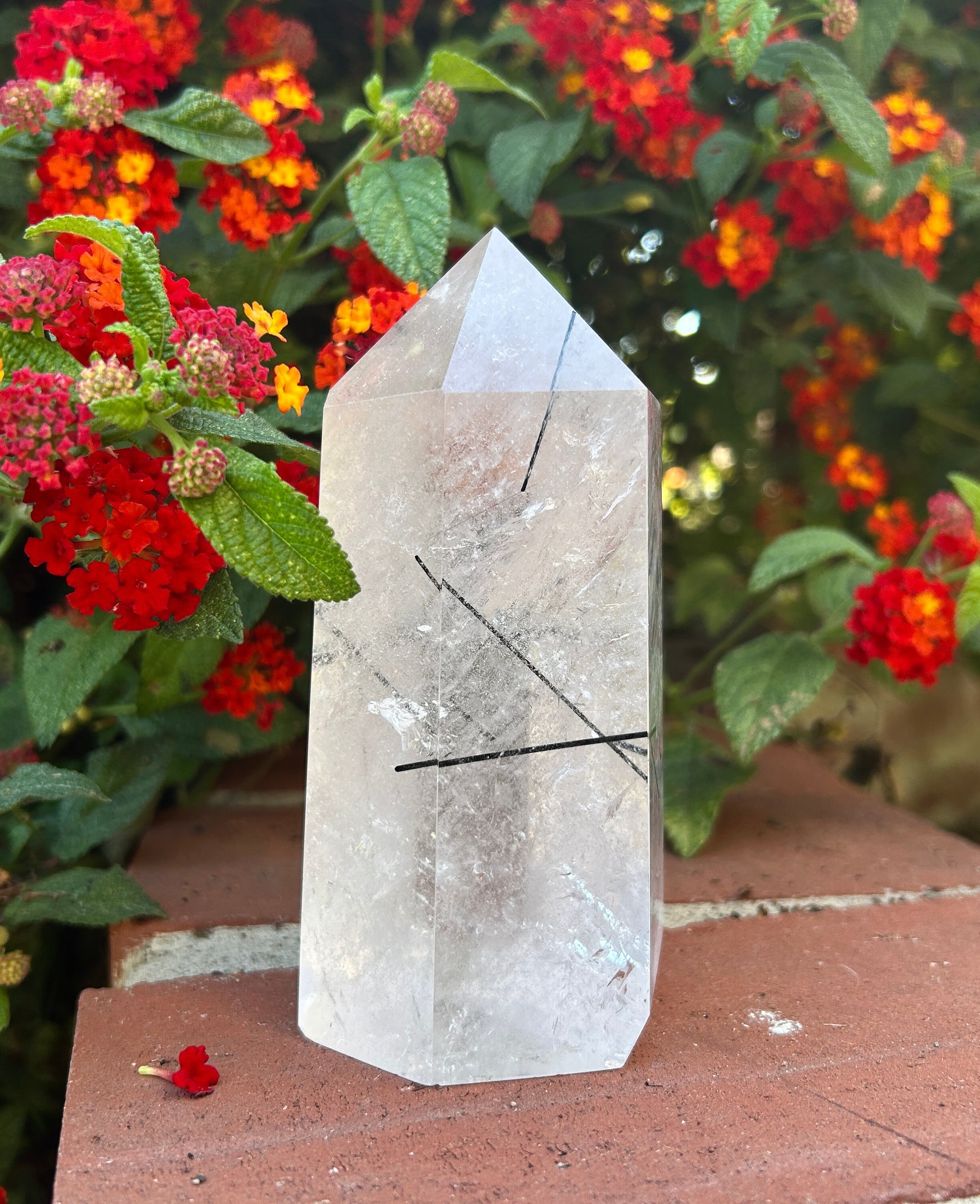 High Quality Black Rutile in Quartz Tower (Flashy!)