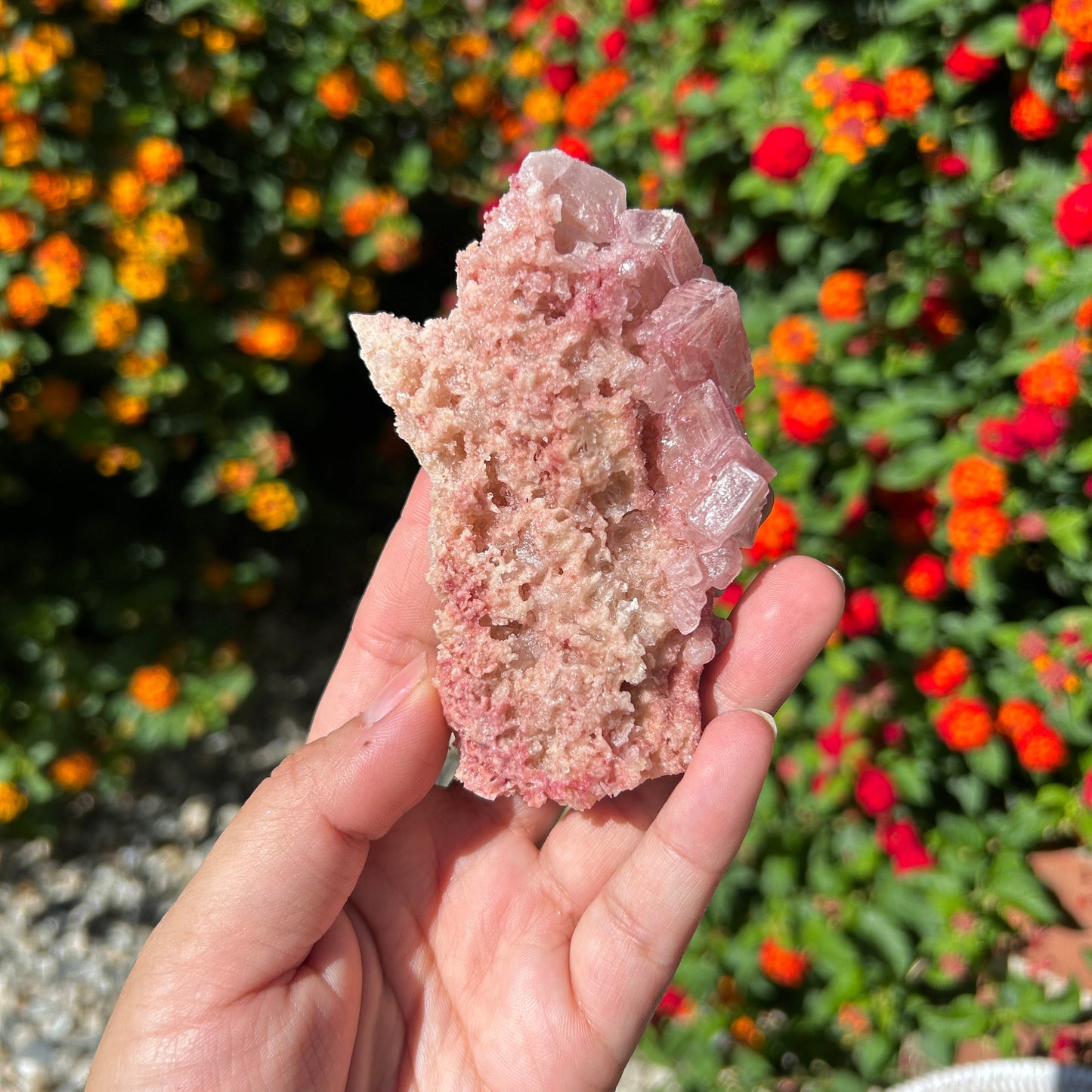 Rose PInk Natural Halite Specimen from Trona