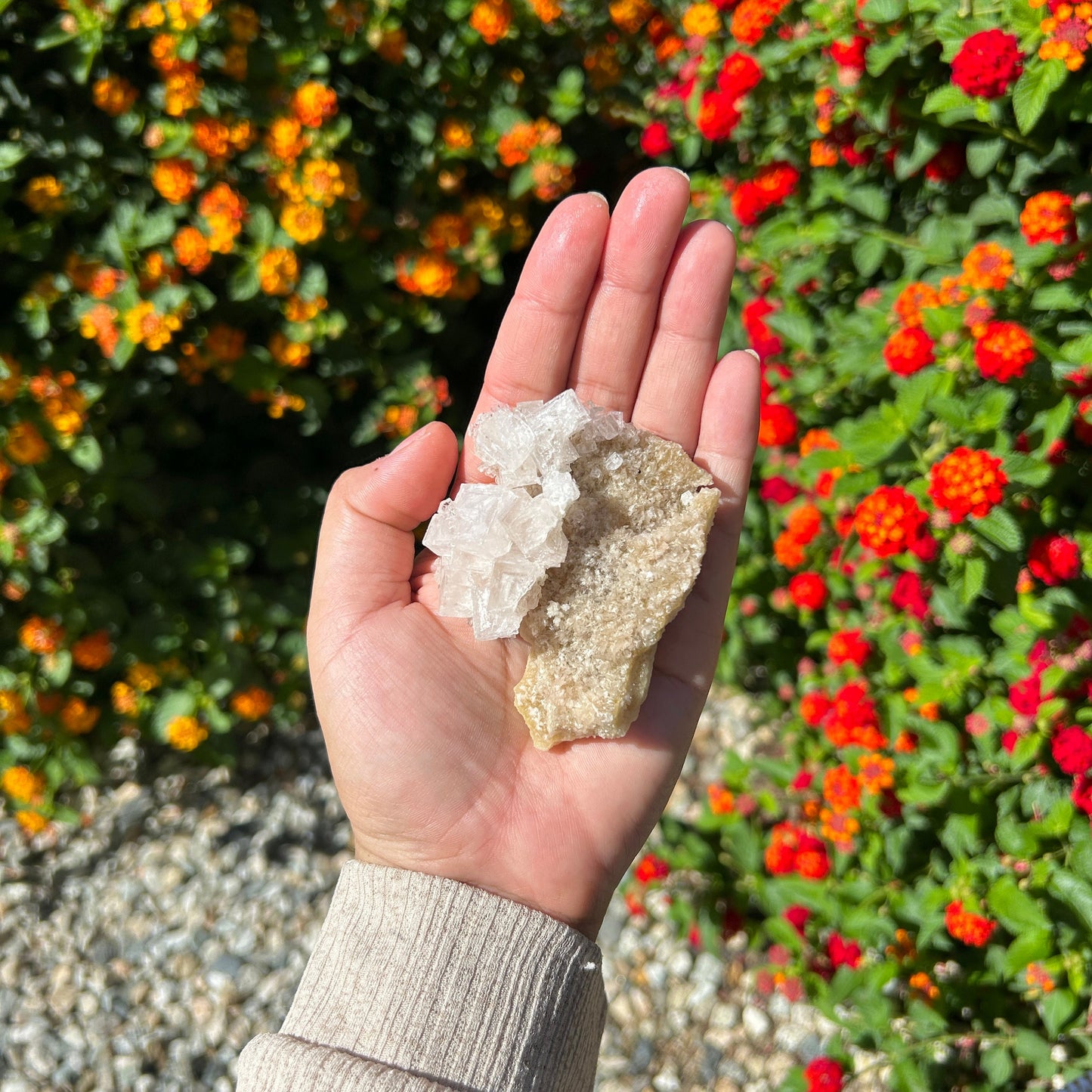 Beautiful Halite Specimen from Trona