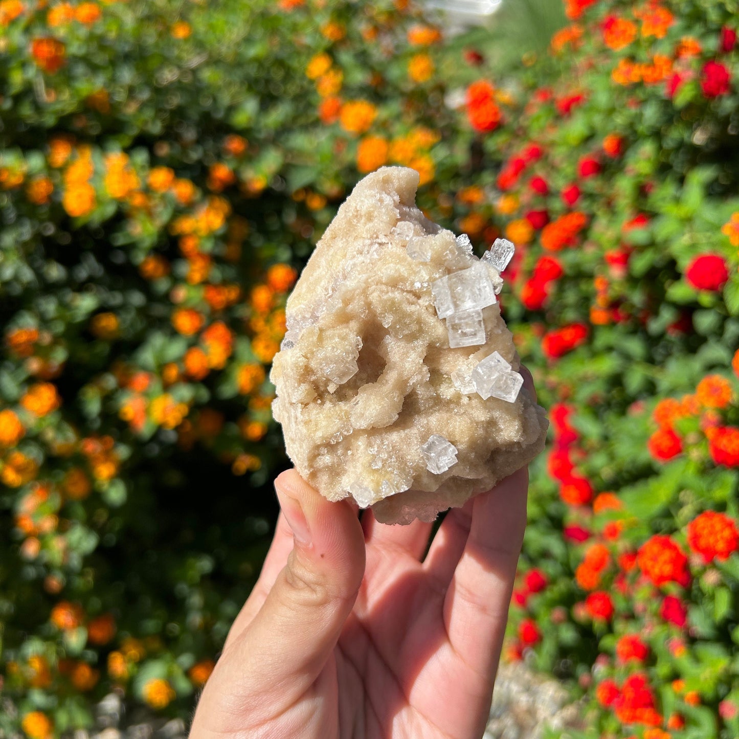 Amazing Halite Specimen from Trona