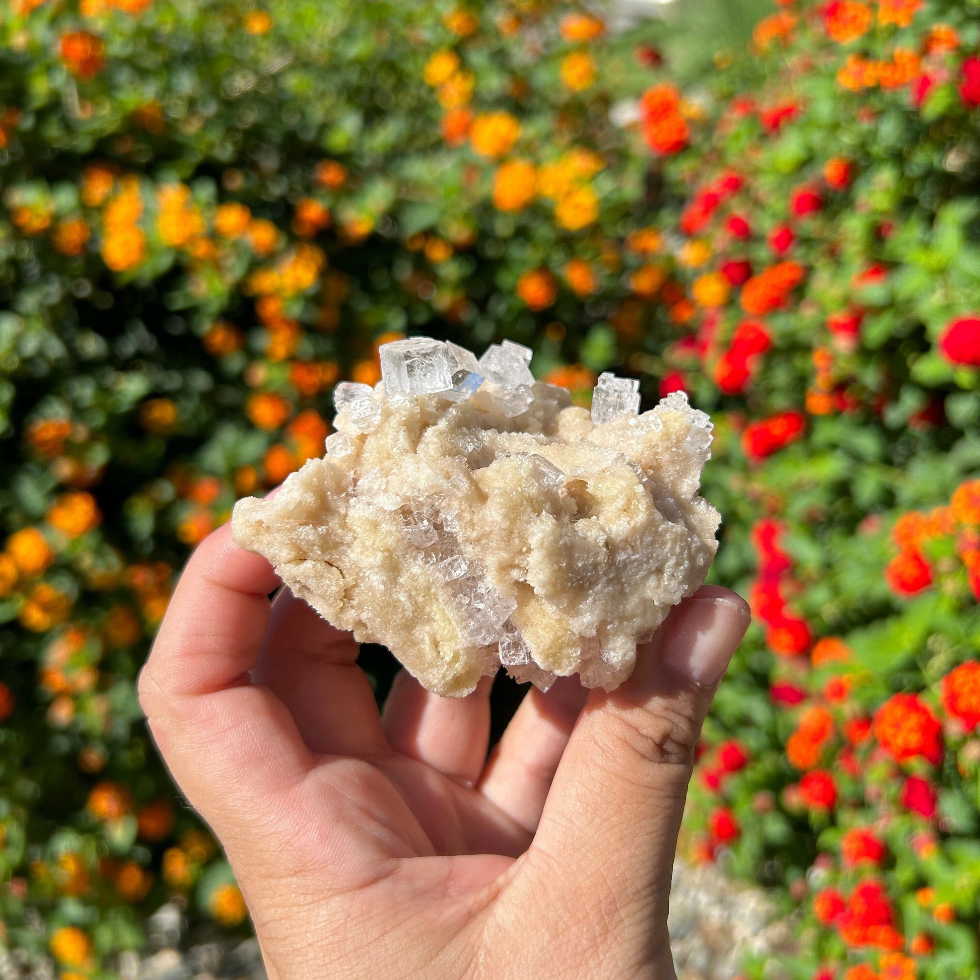 Amazing Halite Specimen from Trona