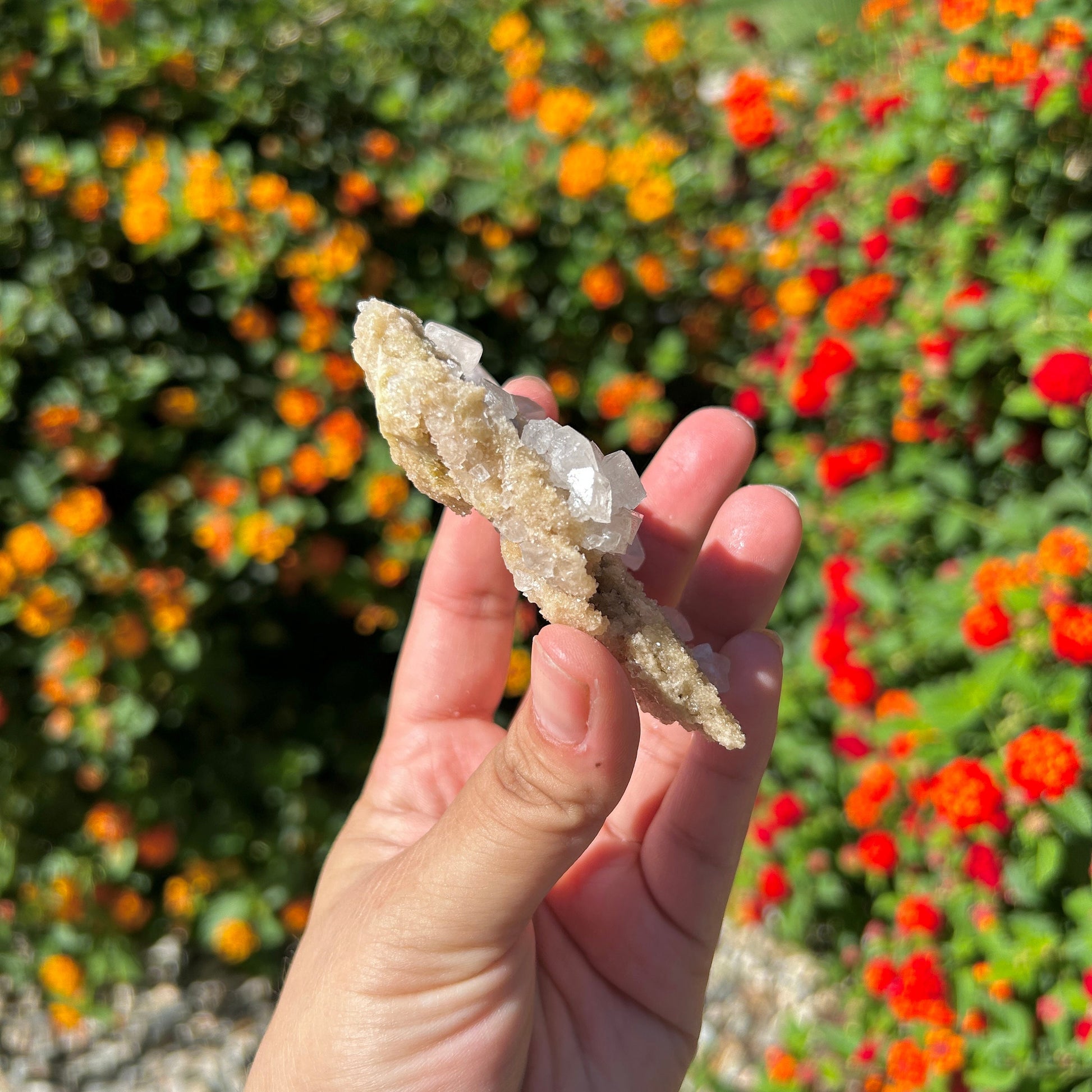 Gorgeous White Halite from Trona Natural Specimen