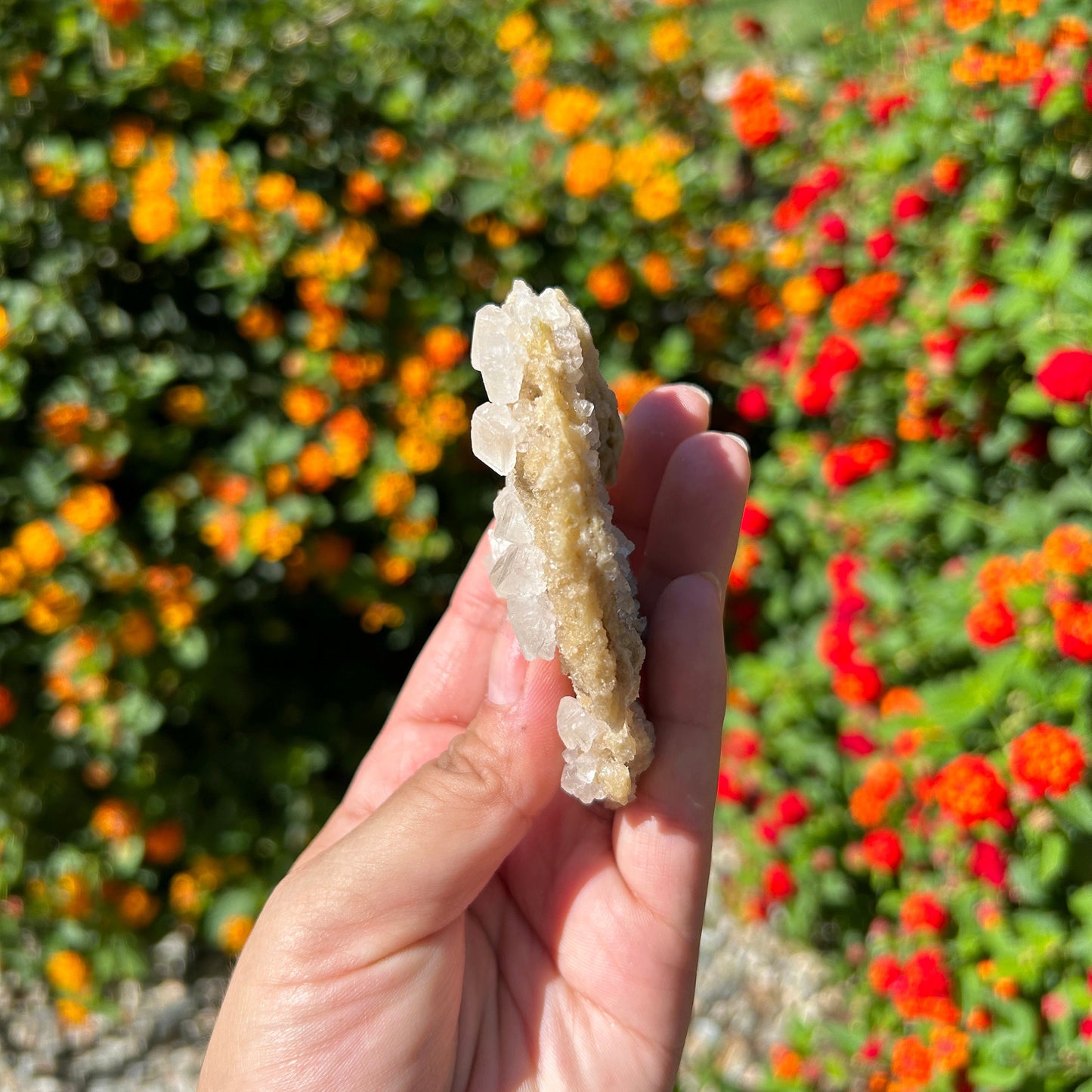 Gorgeous White Halite from Trona Natural Specimen