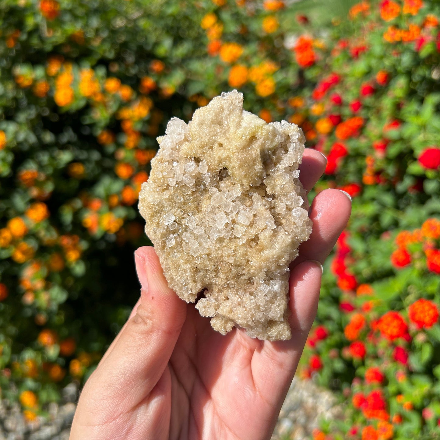 Gorgeous White Halite from Trona Natural Specimen