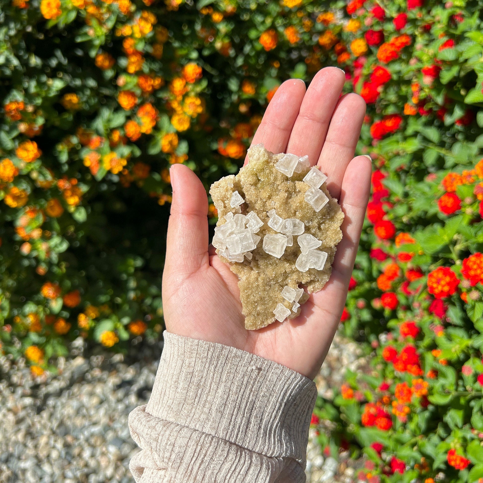 Gorgeous White Halite from Trona Natural Specimen