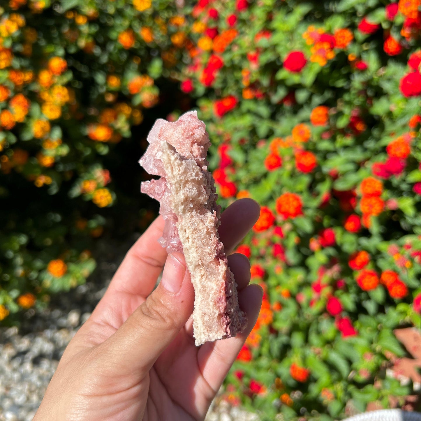 Rose PInk Natural Halite Specimen from Trona