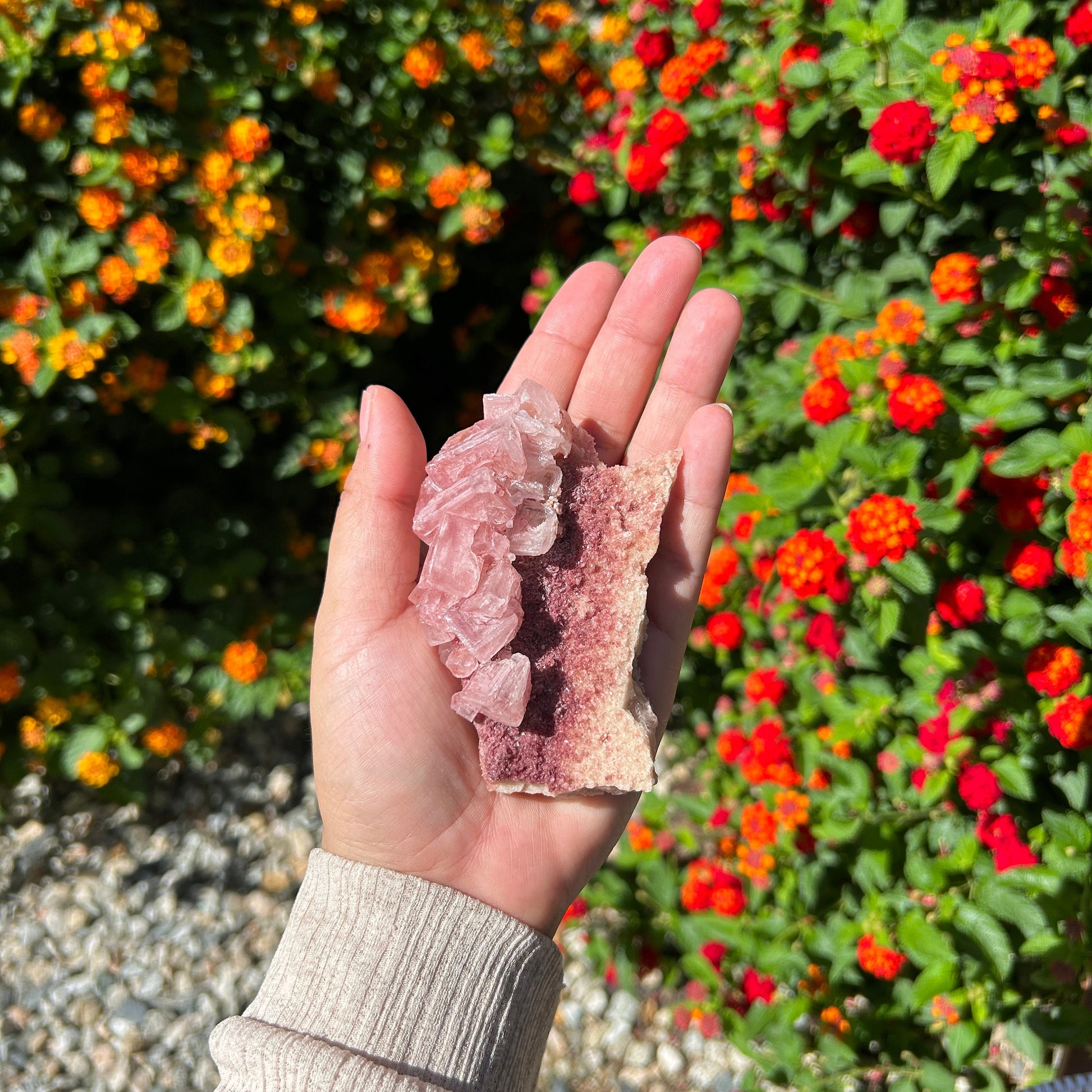 Rose PInk Natural Halite Specimen from Trona