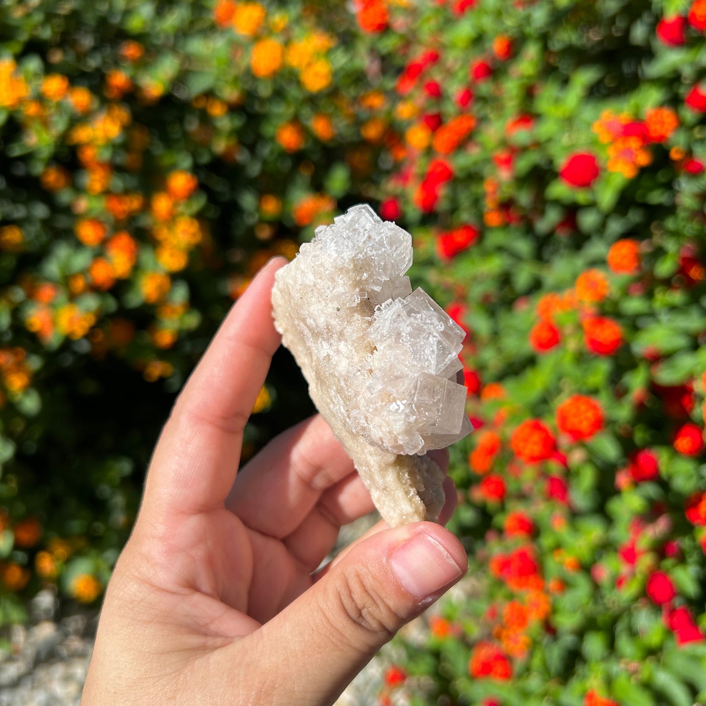 Beautiful Halite Specimen from Trona