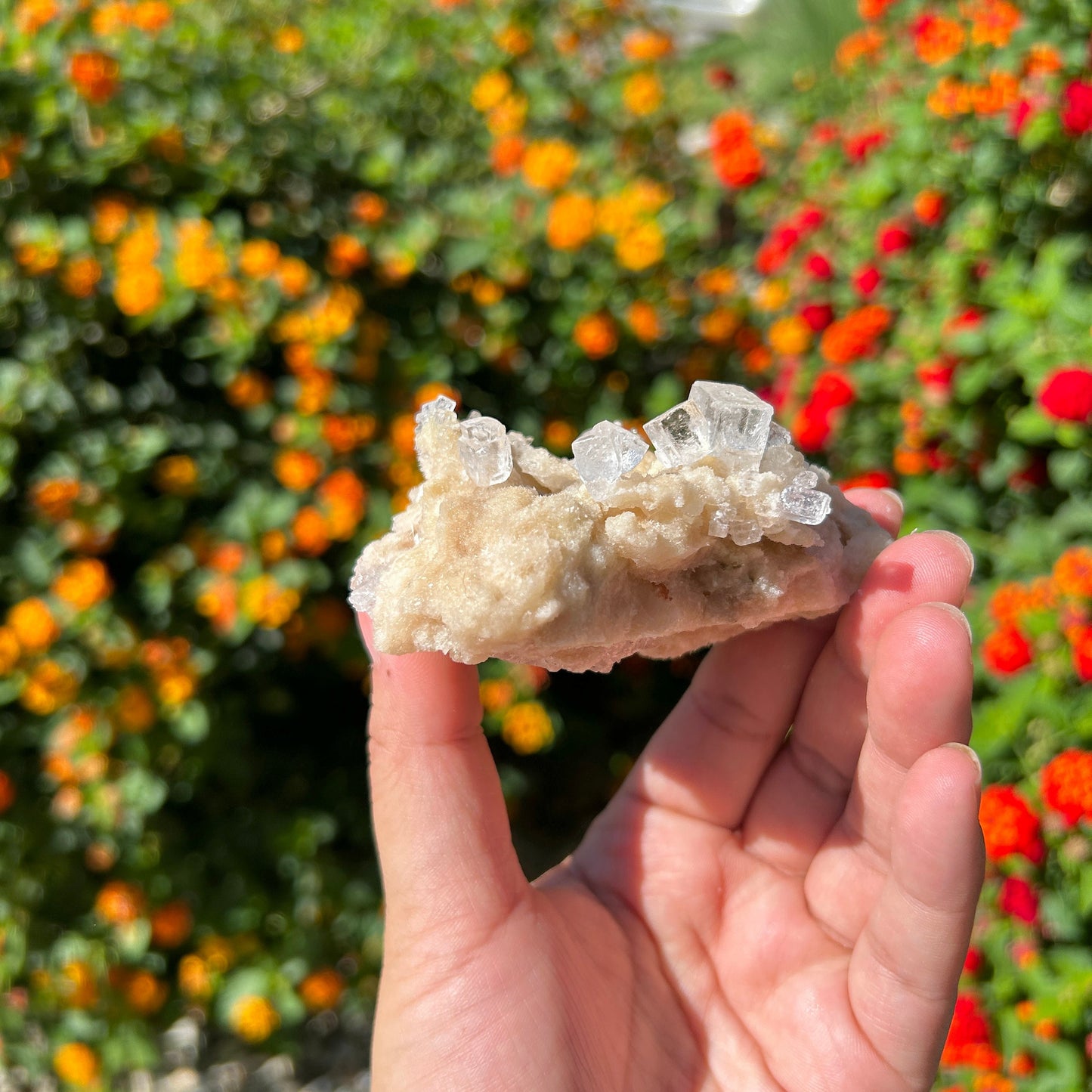 Amazing Halite Specimen from Trona