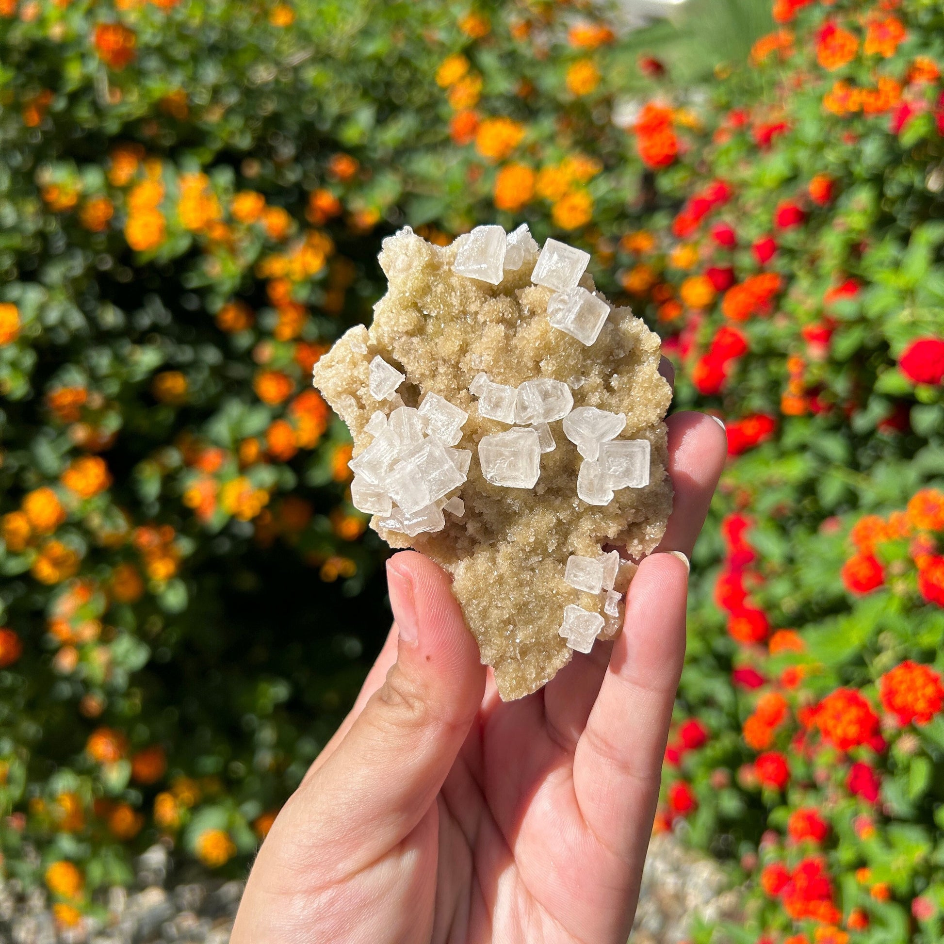 Gorgeous White Halite from Trona Natural Specimen