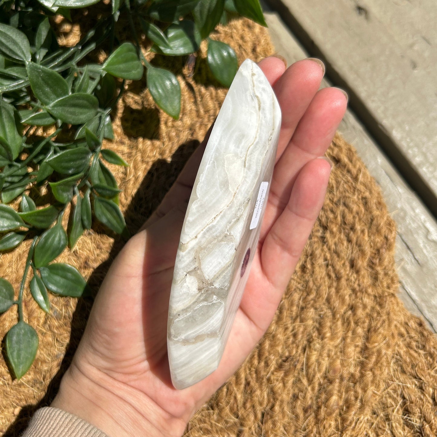 Pretty Onyx Eye-Shaped Small Polished Bowl from Mexico