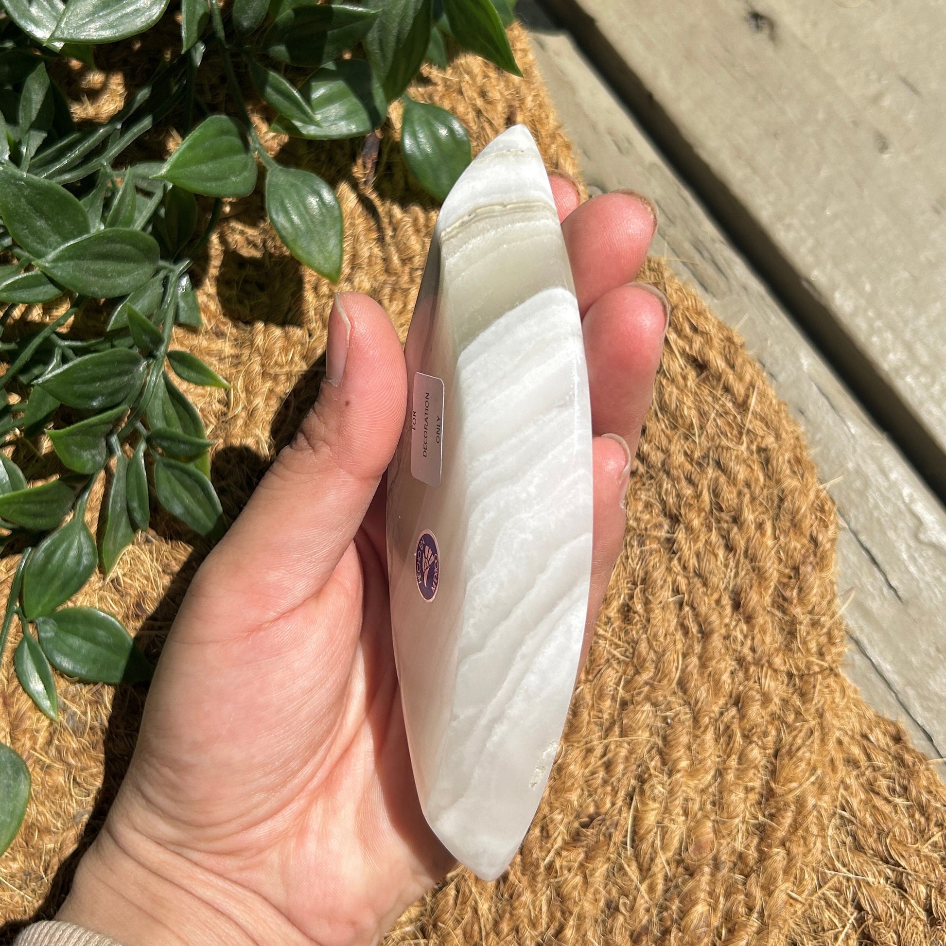 Pretty Onyx Eye-Shaped Small Polished Bowl from Mexico