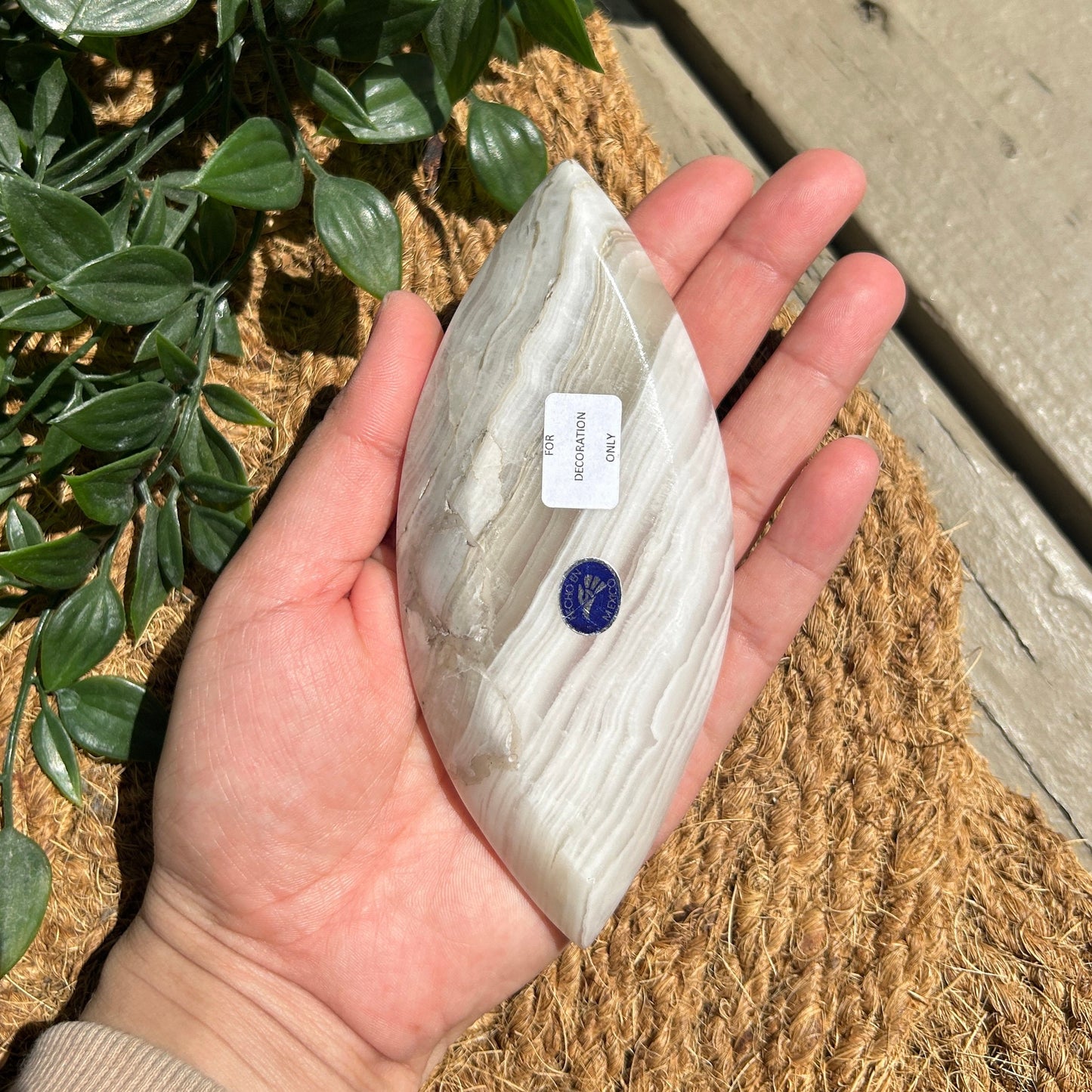 Pretty Onyx Eye-Shaped Small Polished Bowl from Mexico