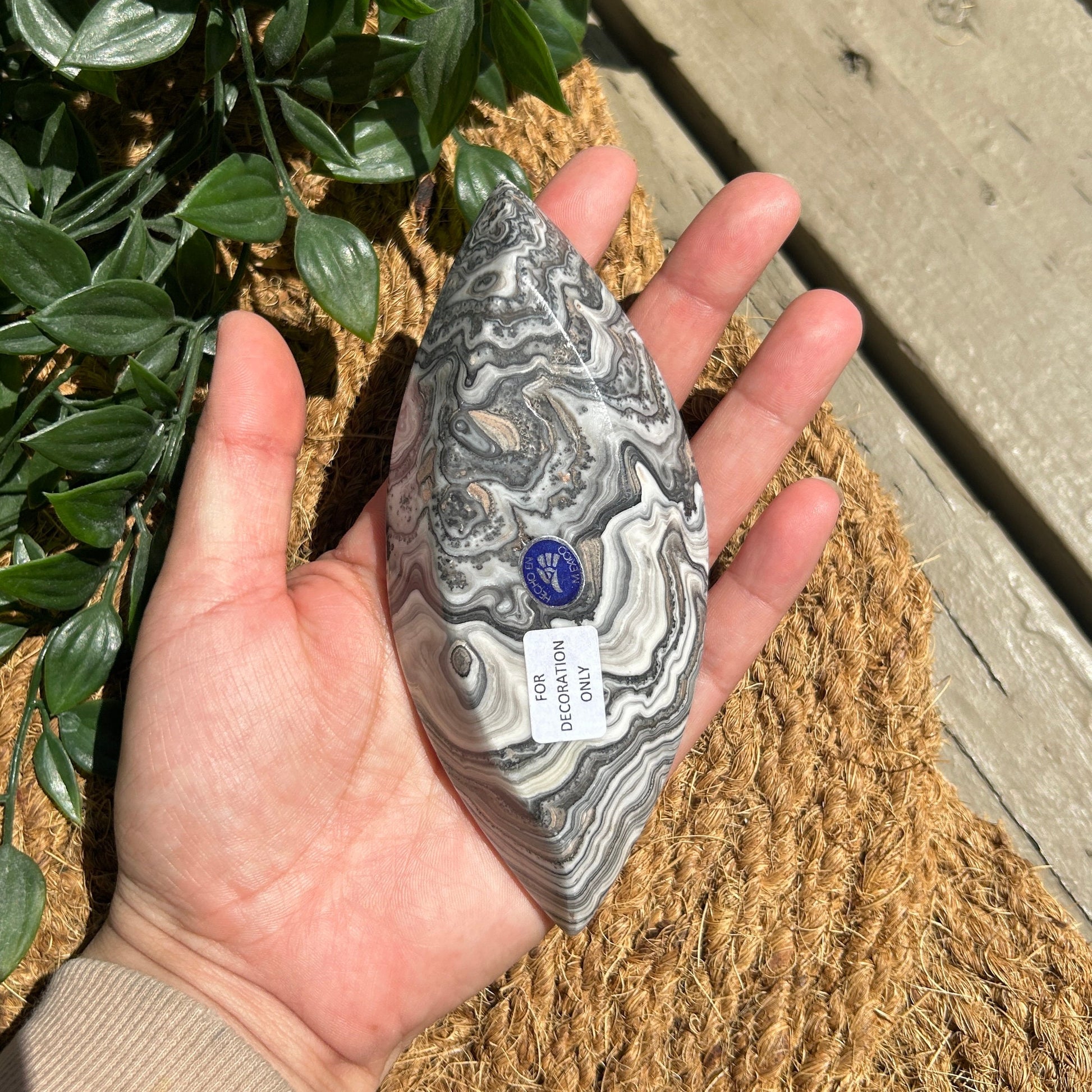 Beautiful Onyx Eye-Shaped Small Polished Bowl from Mexico