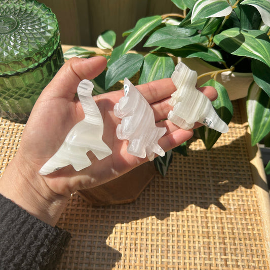 Mini Set of Three Onyx Dinosaur Cavings from Mexico