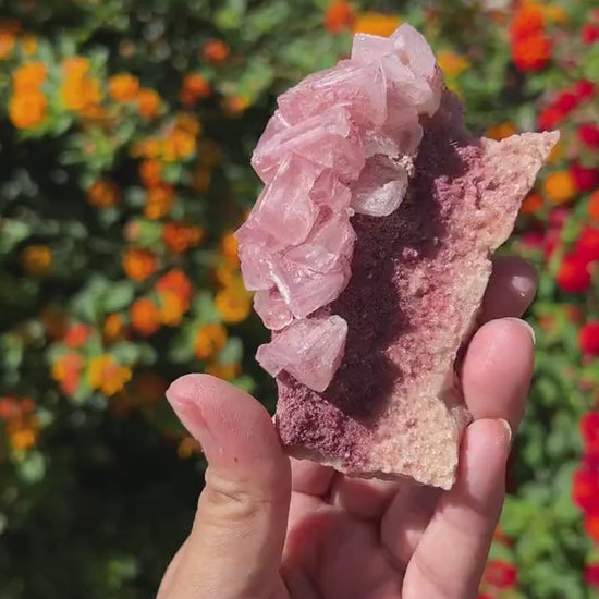 Rose PInk Natural Halite Specimen from Trona