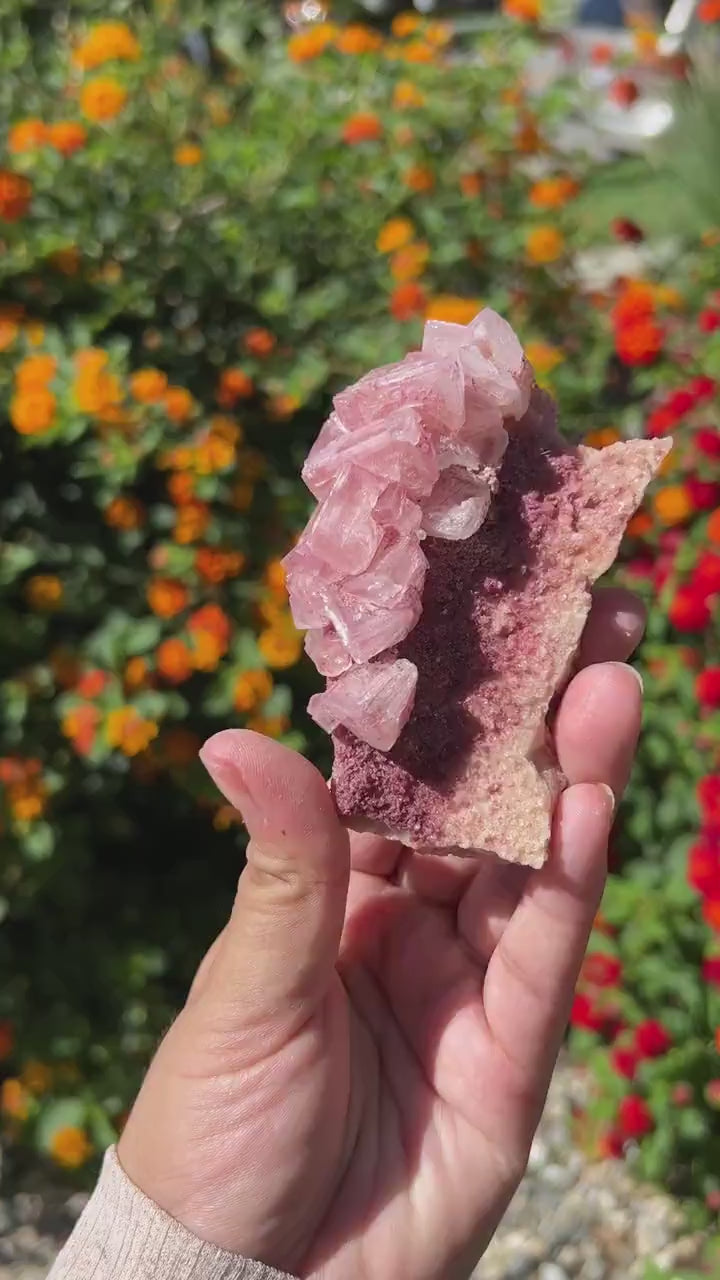 Rose PInk Natural Halite Specimen from Trona