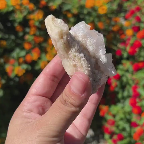 Gorgeous White Halite from Trona Natural Specimen