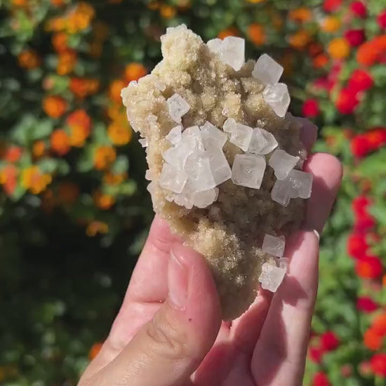 Beautiful Halite Specimen from Trona